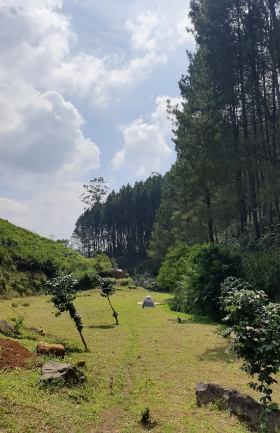 Area Camping Kancah Nangkub Pangalengan