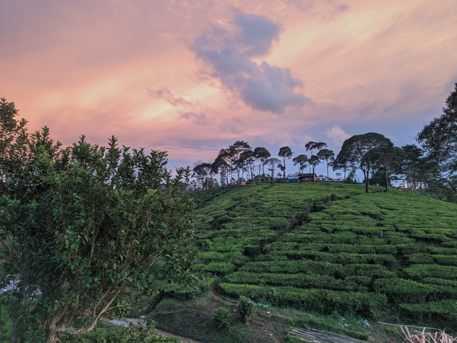 Kancah Nangkub - Kebun Teh Pulosari