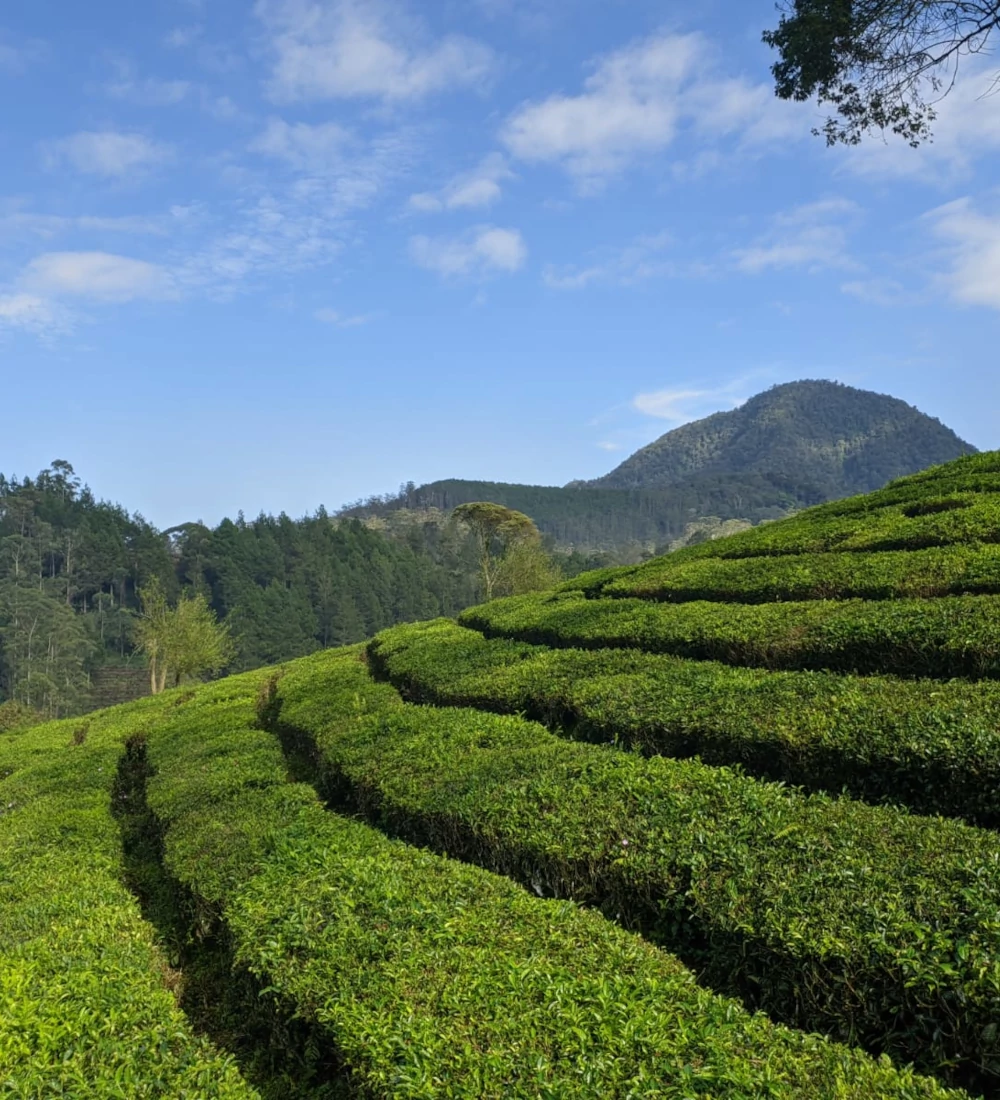 Features Kancah Nangkub